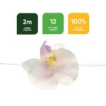 2m Solar Orchid Flower LED String Lights (12 Piece) (Outer Ctn Qty: 24)