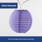2m Solar Lantern LED String Lights (10 Piece) (Outer Ctn Qty: 24)
