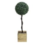 Solar Single Bay Ball Tree In Pot (Outer Ctn Qty: 1)
