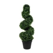 Solar Twist Topiary in Pot (Outer Ctn Qty: 1)