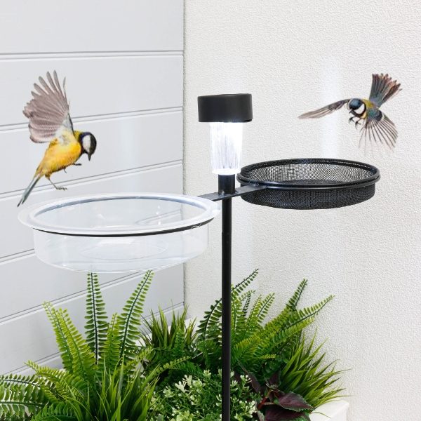 Freestanding Bird Feeder With Solar LED (Outer Ctn  Qty: 4)