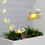 2m Solar Flower LED String Lights (20 Piece) (Outer Ctn Qty: 24)