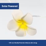 3.8m Solar Flower LED String Lights (20 Piece) (Outer Ctn Qty: 24)