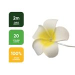 3.8m Solar Flower LED String Lights (20 Piece) (Outer Ctn Qty: 24)