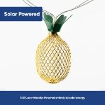 2m Solar Pineapple Lantern LED String Lights (10 Piece) (Outer Ctn Qty: 24)