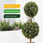 Solar Double Bay Ball Tree In Pot (Outer Ctn Qty: 1)