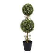 Solar Double Bay Ball Tree In Pot (Outer Ctn Qty: 1)